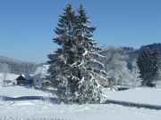 Winterzauber