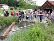 Dann wird der Stamm bis zur Brücke geflöst