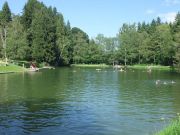 Das Obergünzburger Naturfreibad Hagenmoos