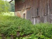 Am Tosbecken, Wand ist stark ausgebaucht