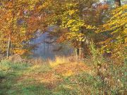 Herbststimmung in den Günztal Hangwäldern.