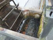 Einlaufschütz zur Steuerung der Wassermenge