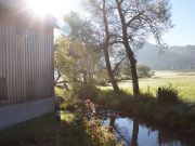 Morgenstimmung am Altwassser