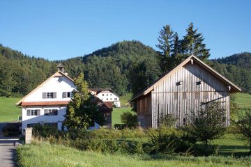 Mühle und Stadel, dahinter Boppeler Hof und Burghügel