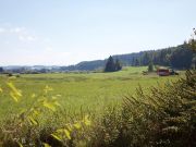 Blick vom Biegarten nach Süden