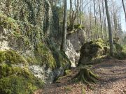 Efeu- und Baumbewachsene Felsformationen