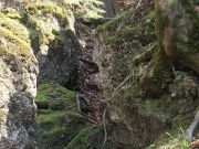 Nagelfluhfelsen am Dillinger Weg