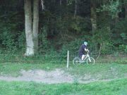 Radwanderweg  zwischen Viehweide und Wald