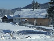 Remise, Mühle und Säge