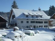 Die Schloßmühle im Winterkleid