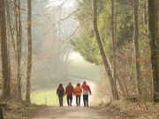 Viele schöne Wanderwege gibt es rund um die Schloßmühle Liebenthann