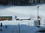 Langläufer hinter dem Holzplatz