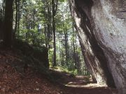 Hausgroße Felsen am Wegrand