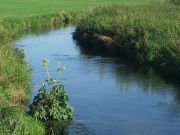 Ruhiger Abschnitt südlich der Mühle