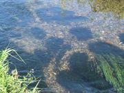 Glasklares Wasser und kiesiger Grund