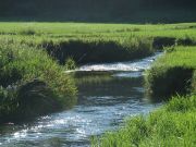 Fischen an der Günz, Entspannung pur