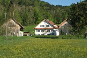 Remise, Mühle und Stadel (Neubau 2007)